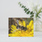 Hoverfly-Briefkaart Briefkaart (Staand voorkant)