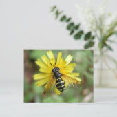 Hoverfly-briefkaart - Chrysotoxumfestivum Briefkaart (Staand voorkant)