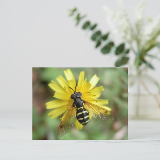 Hoverfly-briefkaart - Chrysotoxumfestivum Briefkaart (Staand voorkant)