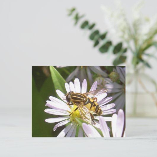 Hoverfly-Briefkaart - Helophilus Briefkaart (Staand voorkant)