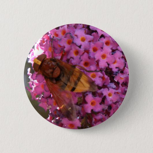 Hoverfly Button (Voorkant)