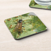 Hoverfly Cork Onderzetter (Linkerzijde)