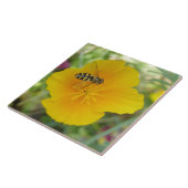 Hoverfly en Californian Poppy Tile Tegeltje (Zijkant)