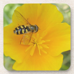 Hoverfly en Californisch Poppy Cork Onderzetter