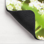 Hoverfly in selderij muismat (Hoek)