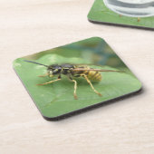 Hoverfly Macro Achterbaan Bier Onderzetter (Linkerzijde)