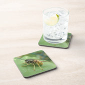 Hoverfly Macro Achterbaan Bier Onderzetter (Rechterzijde)