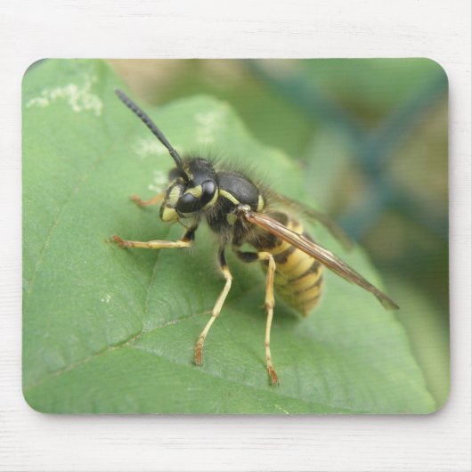 Hoverfly Macro Mousepad Muismat (Voorkant)
