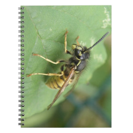 Hoverfly Macro-Notitieboek Notitieboek (Voorkant)