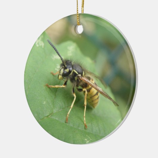 Hoverfly Macro Ornament (Links)