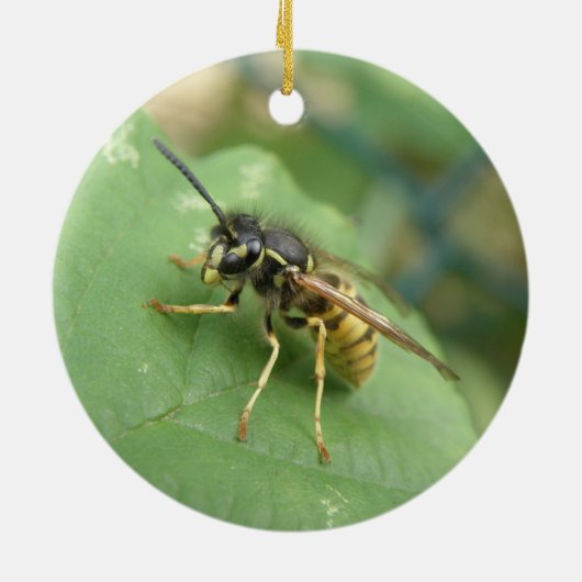 Hoverfly Macro Ornament (Achterkant)