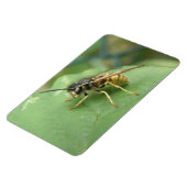 Hoverfly Macro Premium Magnet Magneet (Linkerzijde)