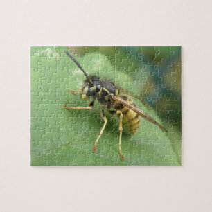 Hoverfly Macro Puzzle Legpuzzel