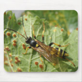 Hoverfly Mousepad Muismat (Voorkant)