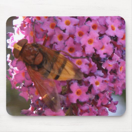 Hoverfly Mousepad Muismat (Voorkant)