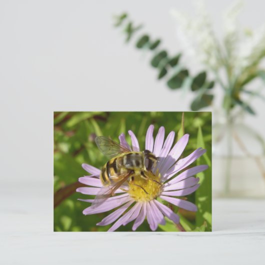 Hoverfly - Myathropa florea Briefkaart (Staand voorkant)