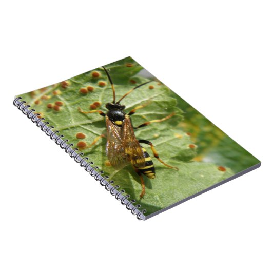 Hoverfly-Notitieboek Notitieboek (Rechterzijde)