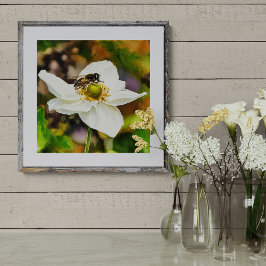 Hoverfly on White Anemone Flower - Pollination in  Foto Afdruk