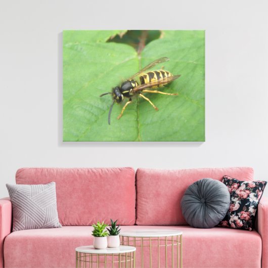Hoverfly op een Leaf Canvas Print (Insitu (Woonkamer))