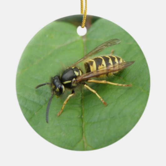 Hoverfly op een Leaf Custom Birthday Keramisch Ornament (Voorkant)