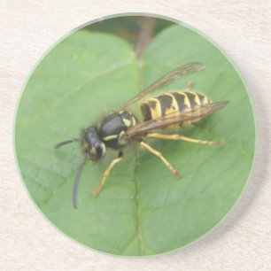Hoverfly op een Leaf-Onderzetter Zandsteen Onderzetter