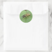 Hoverfly op een leder-stickers ronde sticker (Tas)