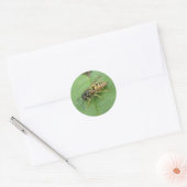 Hoverfly op een leder-stickers ronde sticker (Envelop)