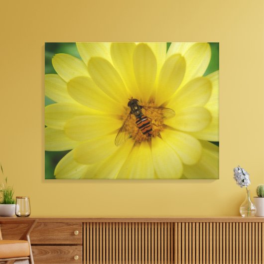 Hoverfly op een Marigold Canvas Print (Insitu (Woonkamer))