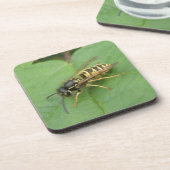 Hoverfly op een Onderzetter met lederkurk (Linkerzijde)