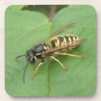 Hoverfly op een Onderzetter met lederkurk