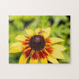 Hoverfly op Rudbeckia Legpuzzel