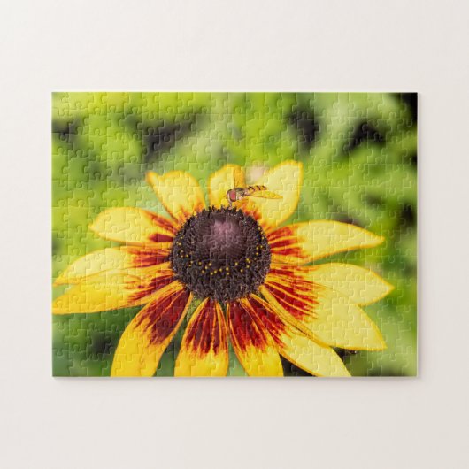 Hoverfly op Rudbeckia Legpuzzel (Horizontaal)