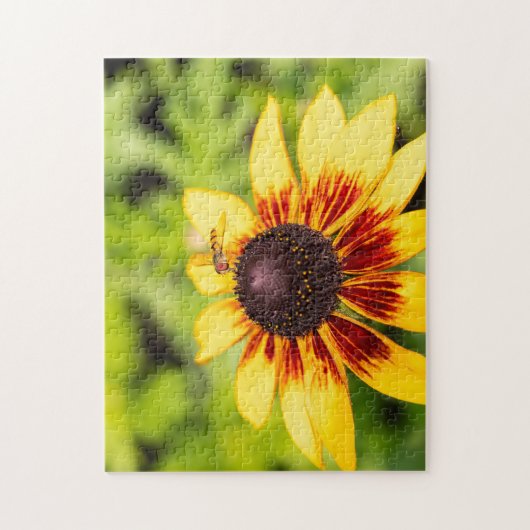 Hoverfly op Rudbeckia Legpuzzel (Verticaal)