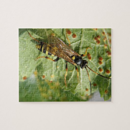 Hoverfly Puzzle Legpuzzel (Horizontaal)