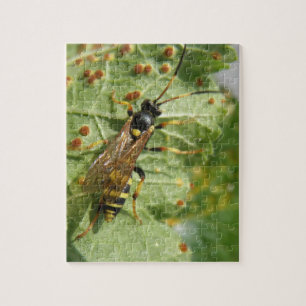 Hoverfly Puzzle Legpuzzel