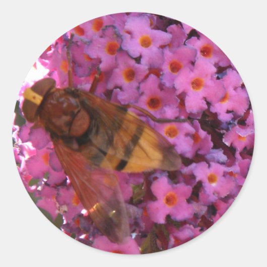 Hoverfly Sticker (Voorkant)