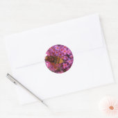 Hoverfly Sticker (Envelop)