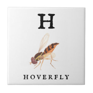 Hoverfly Tegeltje