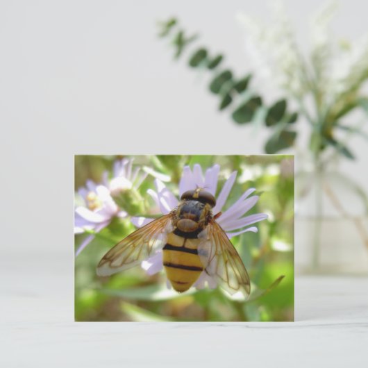 Hoverfly - Volucella inanis Briefkaart (Staand voorkant)