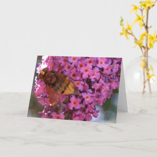Hoverfly-Wenskaart Kaart (Gele Bloem)