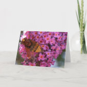 Hoverfly-Wenskaart Kaart (Voorkant)