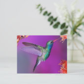 Hovering Blue-Green Hummingbird Briefkaart (Staand voorkant)
