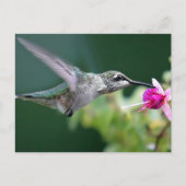 Hovering Briefkaart (Voorkant)