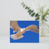 Hovering Briefkaart (Staand voorkant)