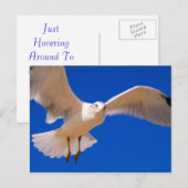 Hovering Briefkaart (Voorkant / Achterkant)