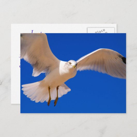 Hovering Briefkaart (Voorkant / Achterkant)