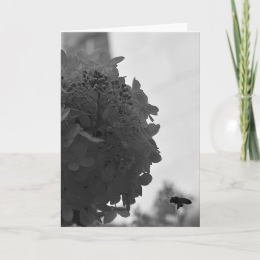 Hovering Honey Bee, kaart (Voorkant)