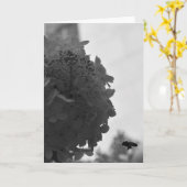 Hovering Honey Bee, kaart (Gele Bloem)