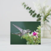 Hovering Hummingbird Briefkaart (Staand voorkant)
