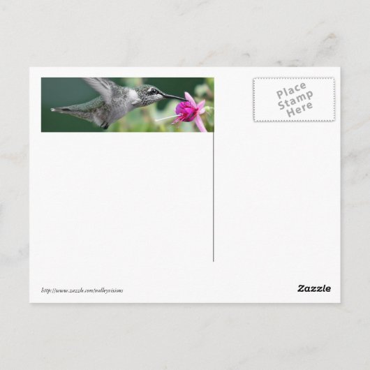 Hovering Hummingbird Briefkaart (Achterkant)
